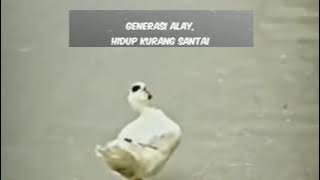 SLANK, Pala Lo Peang