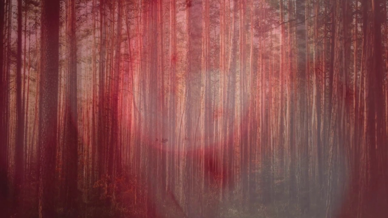 Soundscape #2 - Luces en el bosque - Ambient Drone for relaxing and ...