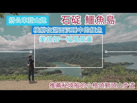 搭公車登山趣 石碇 鱷魚島 ep296『欣賞猶如橫躺在湖面沉睡中的鱷魚,推薦秘境般的小格頭獅頭山步道,沿途享受森林浴,有最佳眺望鱷魚島的小平台,回程走馬路欣賞茶園風光』