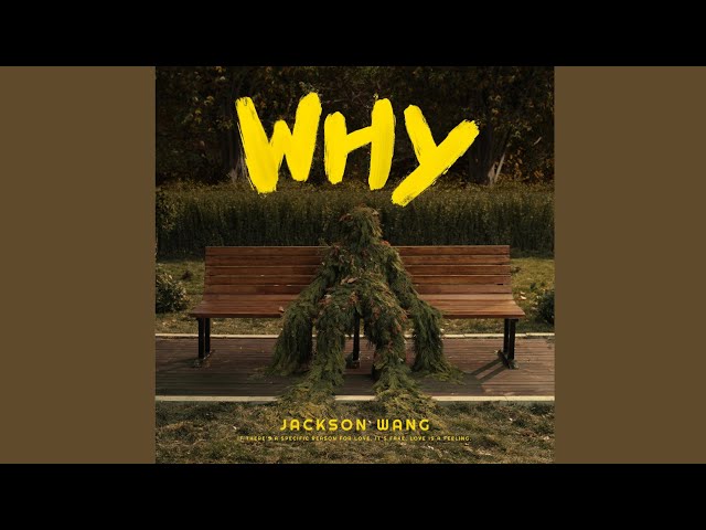 Jackson Wang - Why Why Why [Audio]