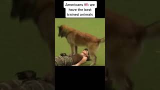 TRAINED ANIMALS 😂 USA vs RUSSIA MEME 😂 #shorts