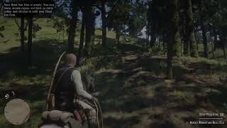 Perfect Kill Technique in RDR2: Mastering the Lasso Stealth Takedown