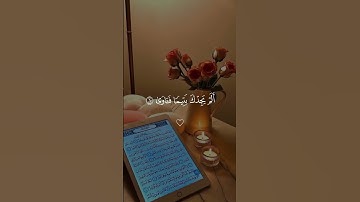 والضحى والليل إذا سجى🤍 #سورة_الضحى #احمد_العجمي #قرآن #قران_كريم #quran #qurantilawat #القرآن_الكريم