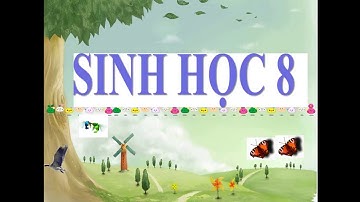 Bài 39.Bài tiết nước tiểu