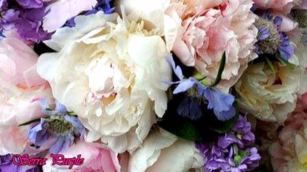Lovely spring spanish guitar YouTube