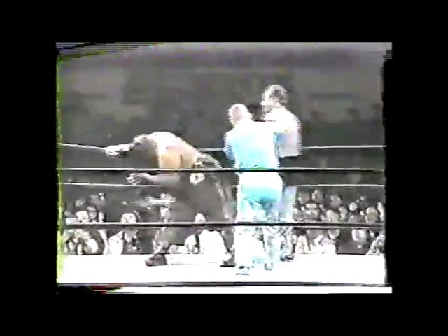 BASUKI ABDULLAH（バスキ　アブドウラ）、収穫 BASUKI ABDULLAH（バスキ アブドウラ）、収穫