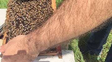 Another Nuc Check - 4 days after install