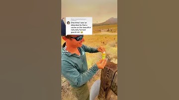 Have You Ever Driven Past A Guard Rail Geocache?