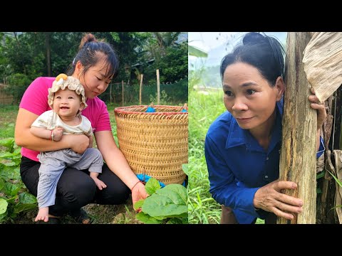 FULL VIDEO: The daily life of an 18-year-old single mother raising a 6-month-old child | Ly Tieu An