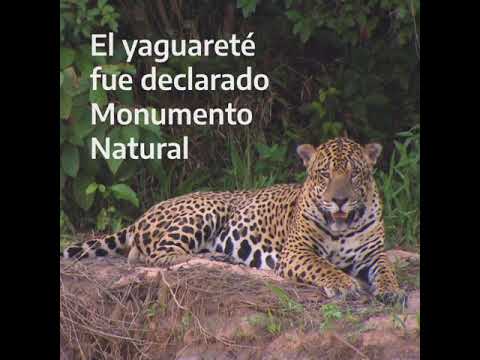 Yaguareté - Monumento Natural