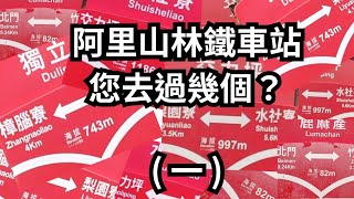 萬眾期待，阿里山林業鐵路7月1日就要全線通車了，您曾去過幾站呢? | 阿里山林業鐵路車站(一) | Model Y 趣哪裡(74)