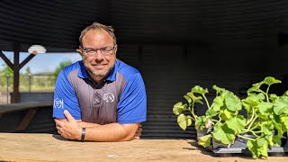 This is AMA | Dave Benjestorf
“We need to grow food for the food bank.”
A little patch? Oh no, Dave was aiming far bigger.
Here’s the story of how a man with no farming experience grew 95,000 pounds of vegetables for Albertans in need—and created a space of learning and community at the same time. This is AMA | Dave Benjestorf