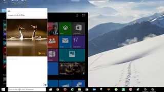 Money 99 Windows10 64 Bits Netbios Informática