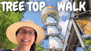 Tree Top Walk Germany – Hainich National Park by Never Stop Adventuring 152 views 6 months ago 8 minutes, 5 seconds