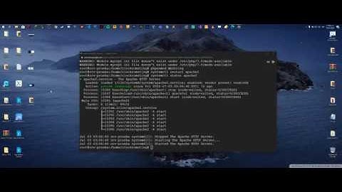 Crear servidor FiveM con gestor de base de datos MySQL & PhpMyAdmin [Google Cloud]