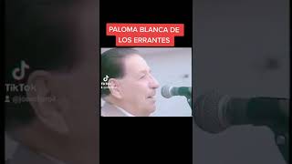 PALOMA BLANCA DE LOS ERRANTES DE CHUQUIBAMBA