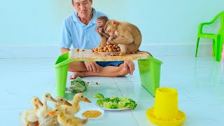 Sam boy & Asher enjoy fruit, duckling enjoys super cute bran