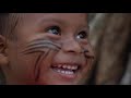 Capture de la vidéo Corciolli - Tears Of The Rainforest