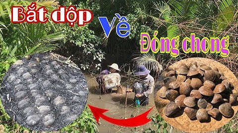 Bất Ngờ Phát Hiện Bãi Dộp Mới Giữa Rừng  - Dộp Nhiều Thấy Mê - Đoàn 39 Vlog