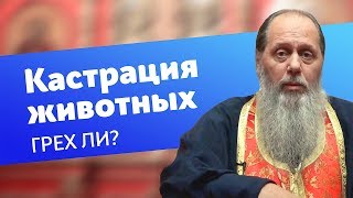 Грех ли кастрировать животных? Грех ли кастрировать животных?