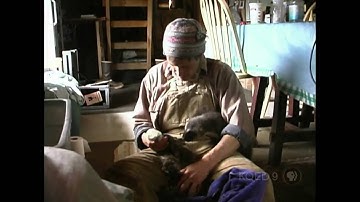 Wolverine Chasing the Phantom - Nature Documentary HD