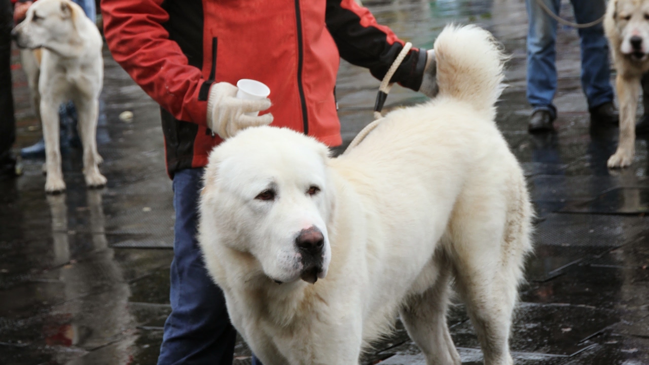 Выставки Выставки