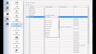 How to add Aux 1 and 2 and show changed CV's Net Worth