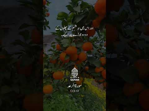 Surah Ar-Ra`d : Ayah -3 💖 سورۃ الرعد #tilawat #quran