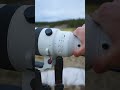 What do the switches on your lens do?