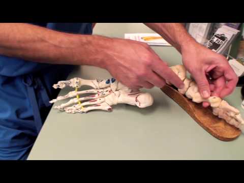 Natural Foot Wisdom with Podiatrist Dr. Ray McClan...