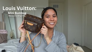 Career Overview LV: MINI BUMBAG REVIEW