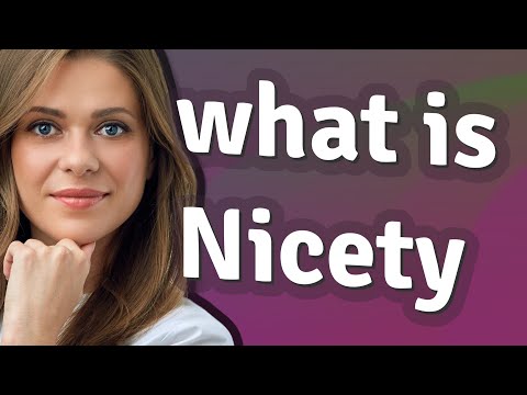 Nicety | meaning of Nicety