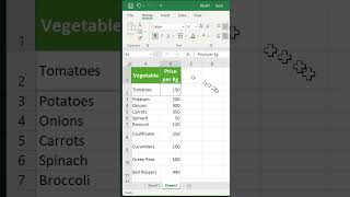 How to Use Format Painter Tool in Excel | Quick Excel Tips #excelremix #spreadsheetmagic #exceltips