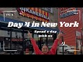 EP 4 NYC | 🇮🇳 DESI SNACKS - GOLGAPPE | FIELD OF LIGHT | BEST ROOFTOP CAFE NYC | INDIAN IN NEW YORK🇺🇸