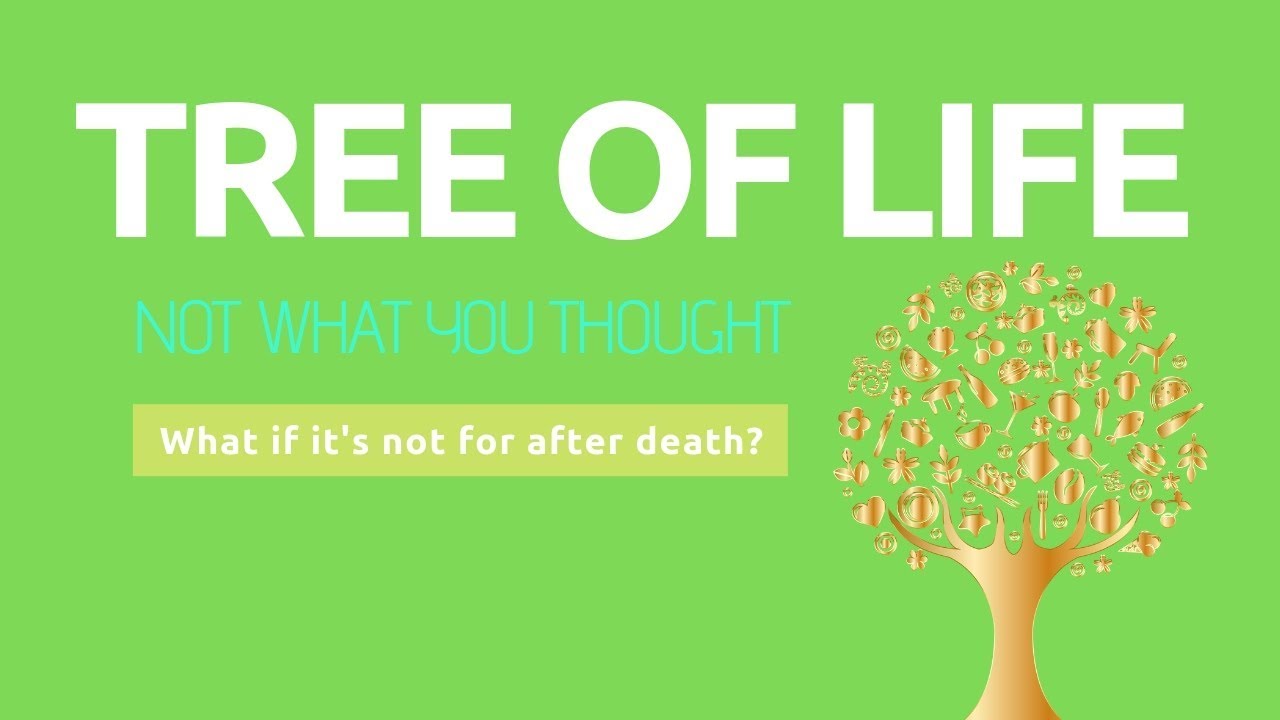 The Tree Of Life In Revelation And The Fruit Of The Tree Of Life Explained Bible Study Youtube The Tree Of Life In Revelation And The Fruit Of The Tree Of Life Explained Bible Study Youtube