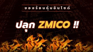 à¸‚ à¸²à¸§à¸— à¹€à¸ à¸¢à¸§à¸‚ à¸­à¸‡ Zmico à¸« à¸™
