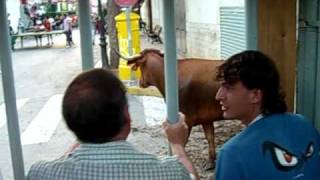 Bull Run - Bous A La Mar In Deniaspain