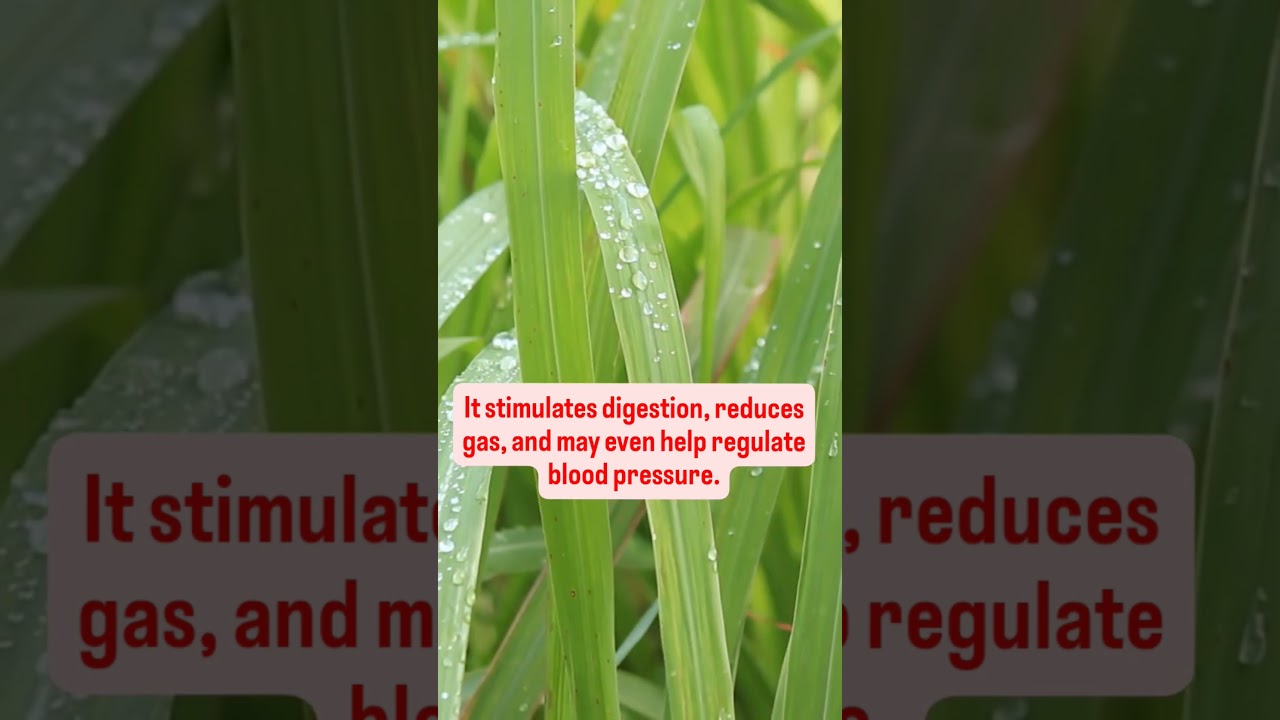 Lemongrass tea benefits for health 