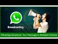 How to send WhatsApp message to all contacts list