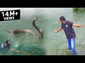 खतरनाक रेस्क्यू ऑपरेशन, खेत तालाब में गिरे 2 सांप Rescue 1 Cobra and 1 Rat snake from Ahmednagar