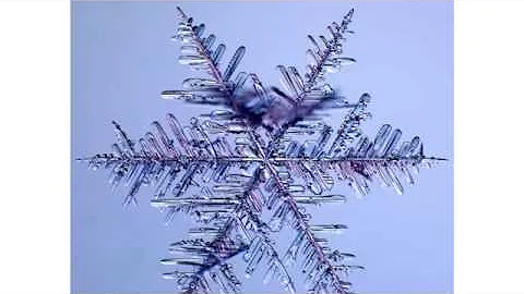 The Science of Snowflakes