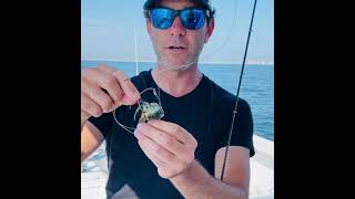 Blackfish slider rig // Uncle Mo's tackle