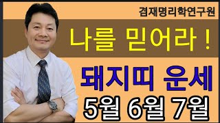 돼지띠운세/  나를 믿어라 ! 돼지띠의 5월 6월 7월 운세입니다  83년생 71년생 59년생 47년생  전…