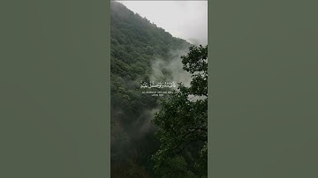 تلاوة من سورة هود القارئ: محمود خليل الحصري