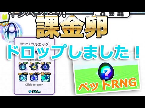 【低確率】課金卵がエリアで壊している時にゲットできました！ペットRNGの公開も間近！ペットシミュレーター99【 ロブロックス Roblox】