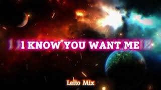 Pitbull - I Know You Want Me (Remix Electronico) - Leito Mix