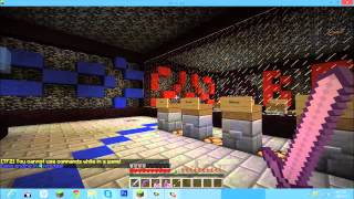 Server Review~ LEVELUPMC