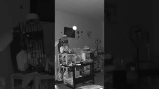 Look What The Camera Captured