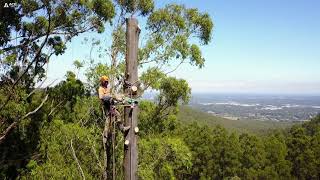 Shaken not Stirred Tree removal at Mount Dandenong Melbourne.