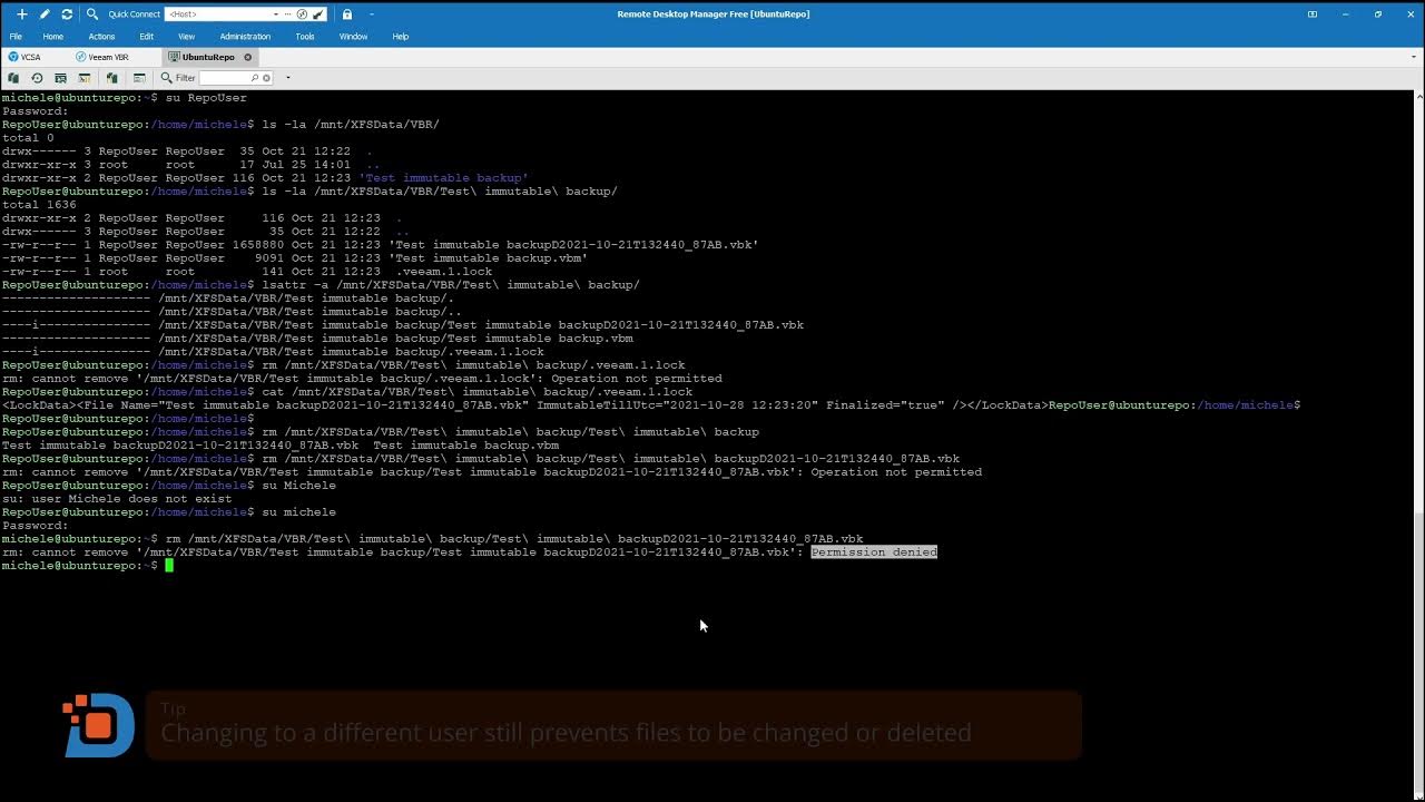 Linux delete immutable file YouTube